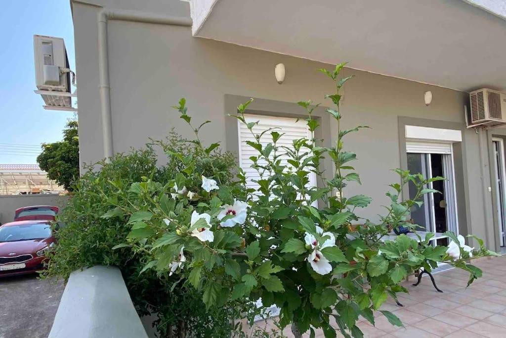 Ilisia Neapoli Apartments 1 Neápolis Exterior foto